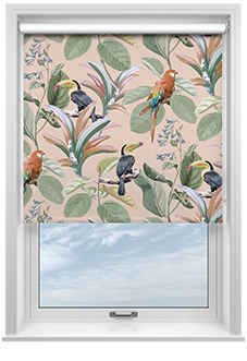Parrot, Peach Ice - Roller Blind